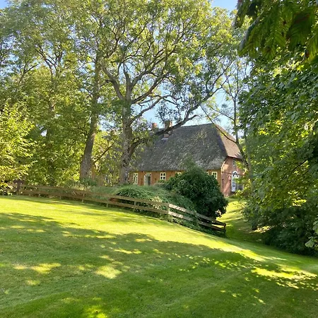 Thatched On The Eiderstedt Coast * Tetenbull