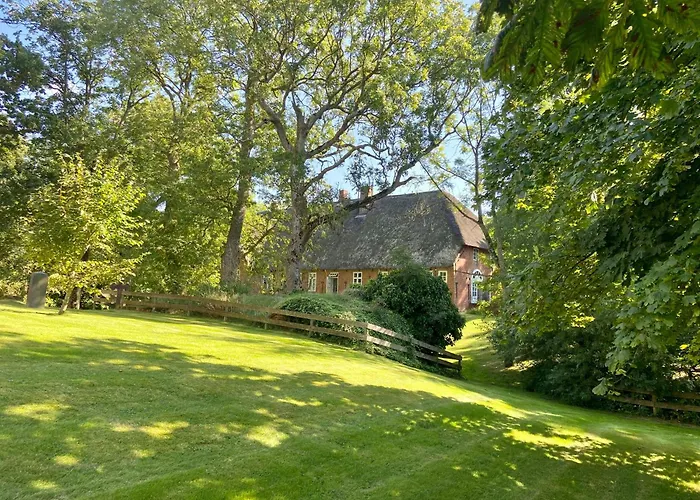 Thatched On The Eiderstedt Coast * Tetenbull